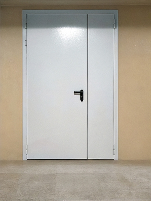 Огнестойкая дверь с двумя створками