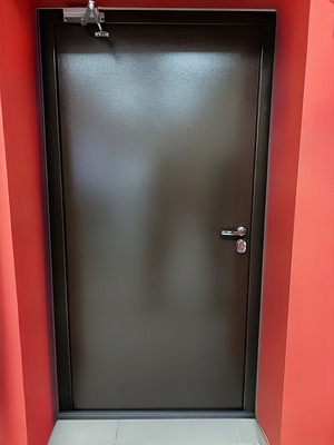 Порошковая стальная дверь